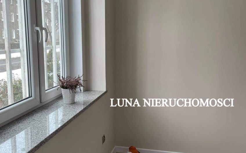 Lokal do wynajęcia